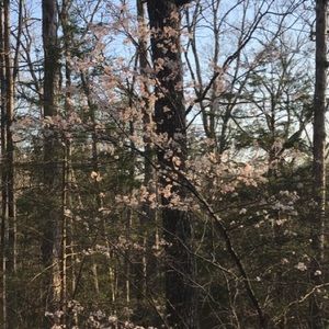 Meet your Posher, Ezra